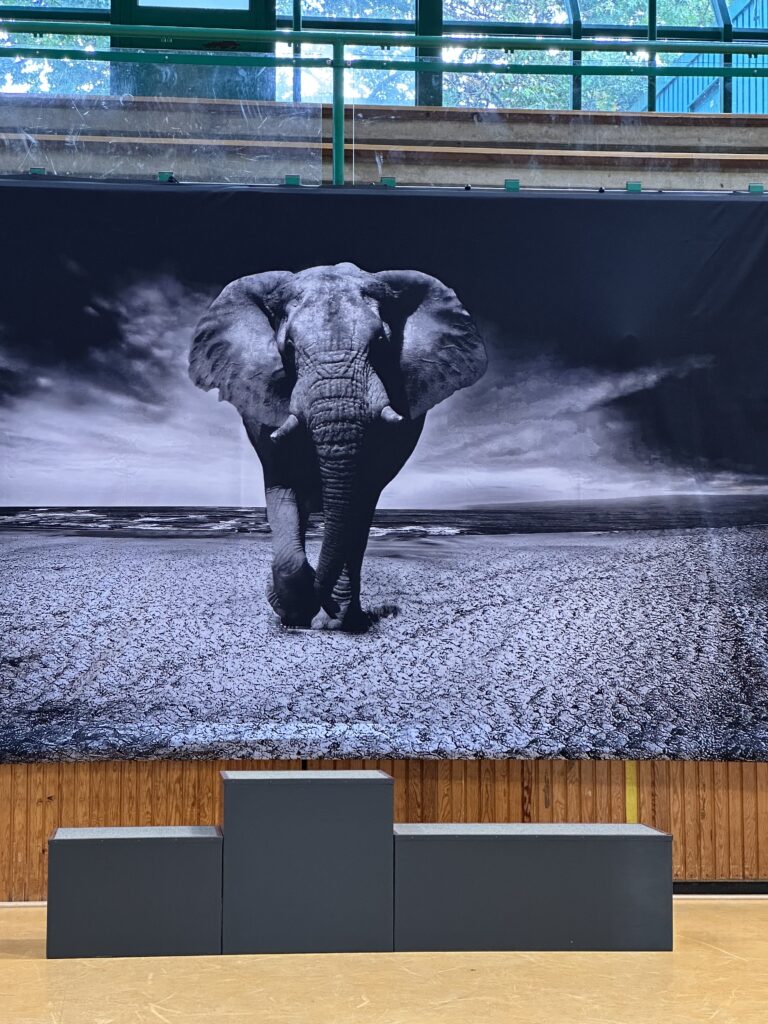 3. Internationaler ELEFANTEN CUP 2024